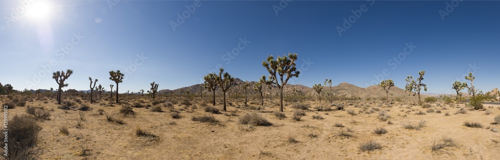 Panoramic view of landscape and horizon in the Mohave Desert, Joshua Tree National Park, California
