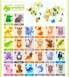 Alphabet wildlife infographics. Wild animal, sea life, bird. Baby cartoon cute modern template. Flat vector ABC illustration, world map, back to school education design. Elephant, monkey, rabbit, fox