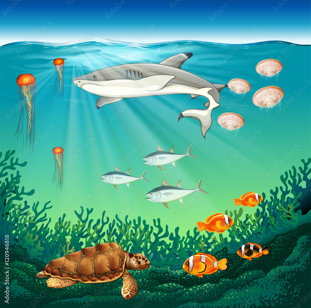 Naklejka premium Sea animals swimming under the sea