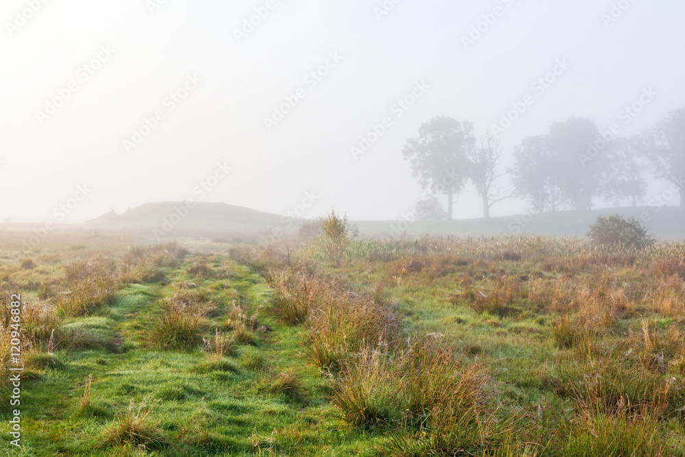 Path in the meadow toward the hill in the mist