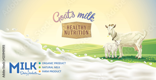 Rural landscape with goat and kid, splash of milk as a design element.