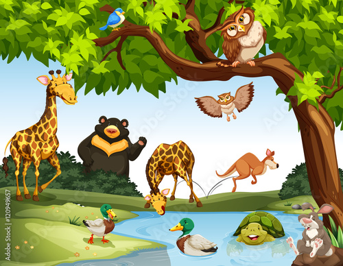 Many wild animals in the park #120949657