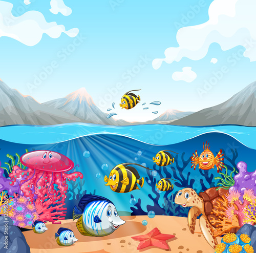 Nature scene with fish and turtle