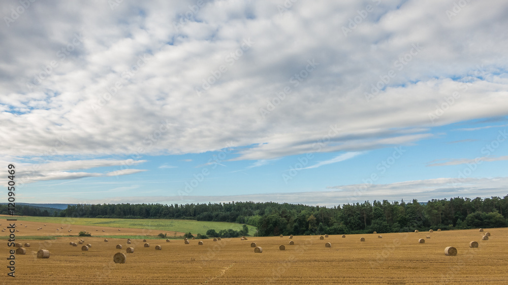 Landschaft im Spätsommer