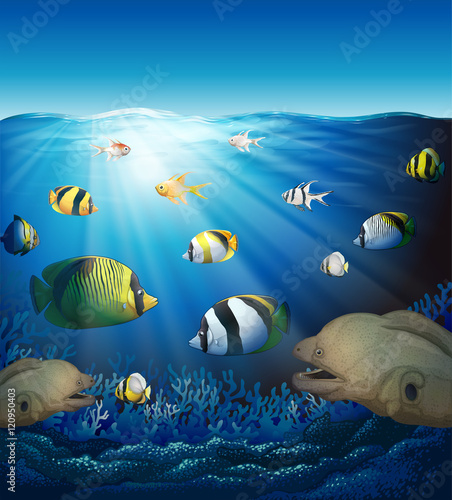 Underwater scene with fish and seaweeds