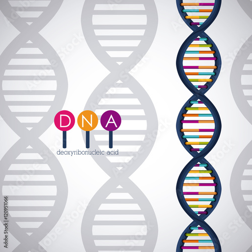 Dna structure chromosome icon. Science molecule genetic and biology theme. Isolated design. Vector illustration