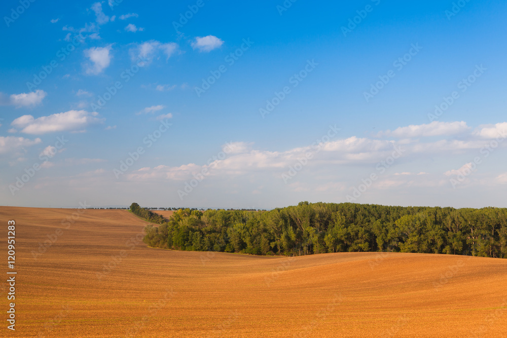 Autumn field after harvest at twillight