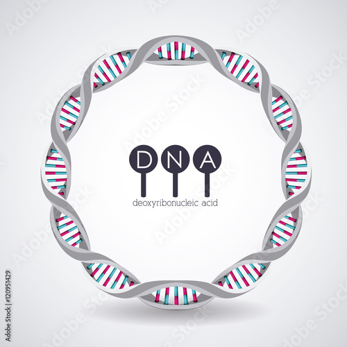 Dna circle structure chromosome icon. Science molecule genetic and biology theme. Isolated design. Vector illustration