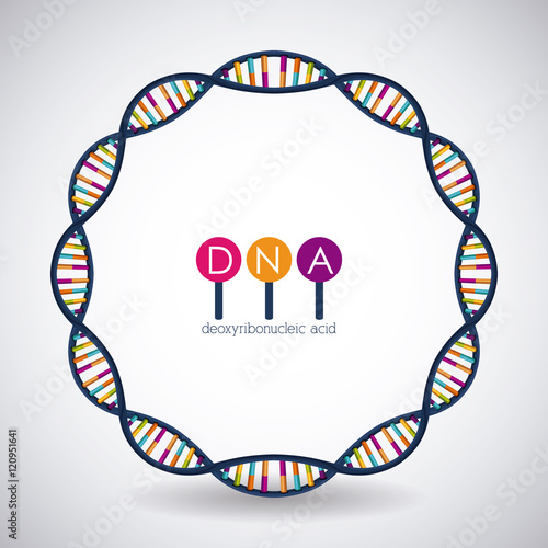Dna circle structure chromosome icon. Science molecule genetic and biology theme. Isolated design. Vector illustration