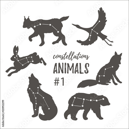Vector space set with cosmic animals. Hand drawn silhouettes of animals in hipster style.  Set of constellations of wild animals isolated on the white background.