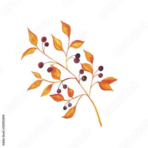 Abstract autumn branch isolated on white background. Hand drawn vector watercolor illustration.