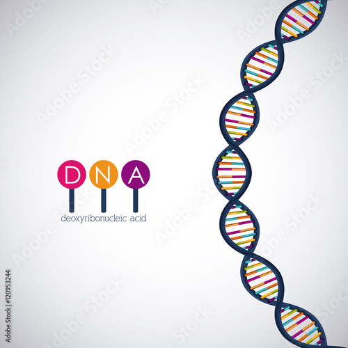 Dna structure chromosome icon. Science molecule genetic and biology theme. Isolated design. Vector illustration