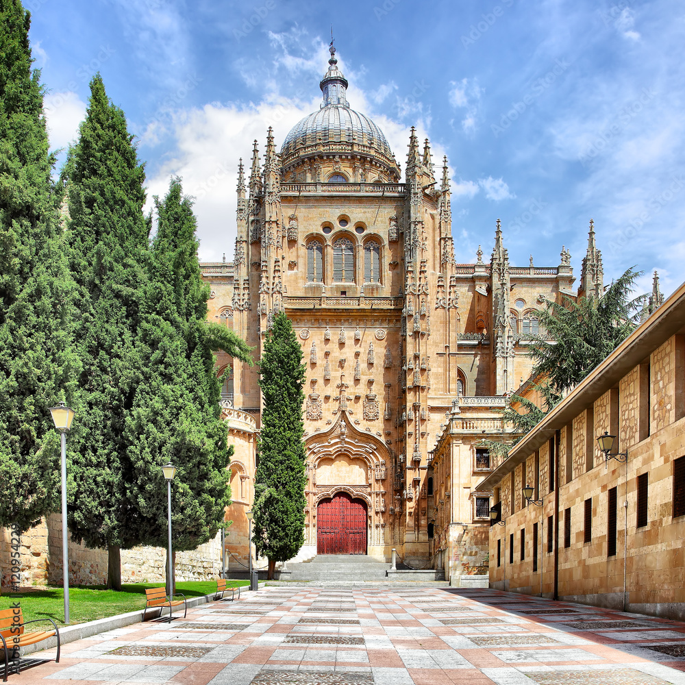 New Cathedral in Salamanca