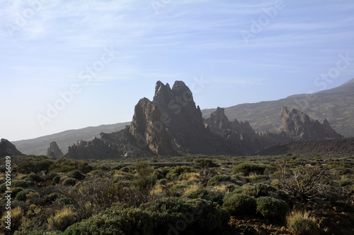 Landscape from Teide National Park  Volcano on Tenerife  Canary Islands Spain