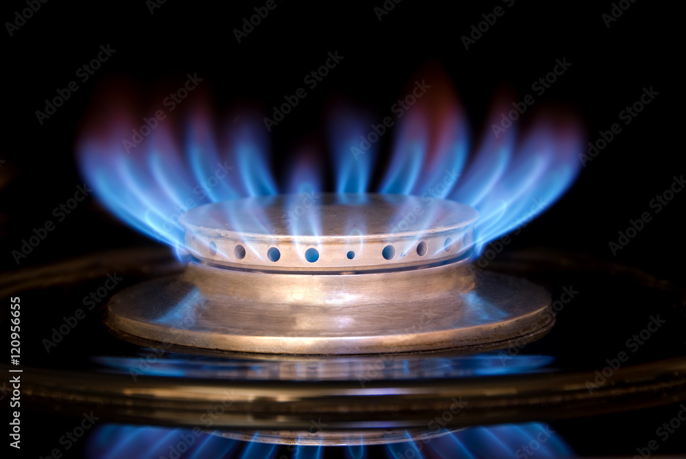 Gas Range Flame Gas Range Flame