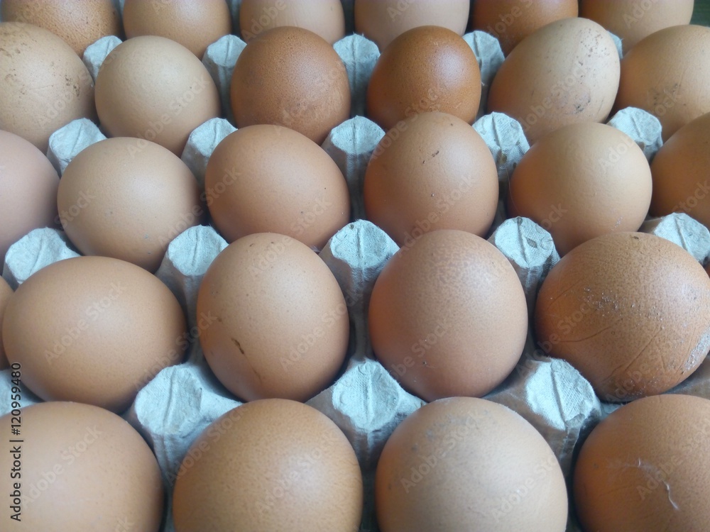 Beige eggs in a cardboard tray gray Beige eggs in a cardboard tray gray