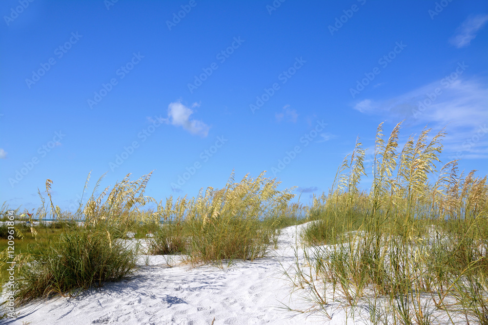 Anna Maria Island - Floride / Florida - USA