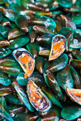 fresh mussels in the market © kongsak