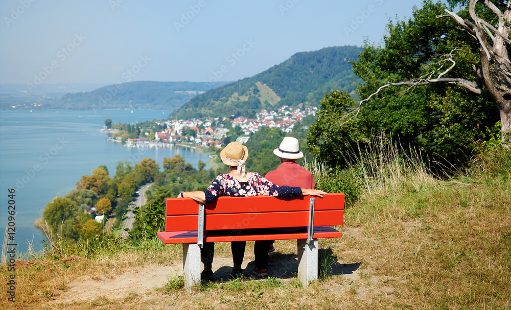 Fototapeta premium Bodenseeblick bei Sipplingen