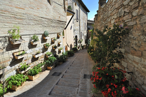 Fototapeta Naklejka Na Ścianę i Meble -  Spello, Umbria, provincia di Perugia