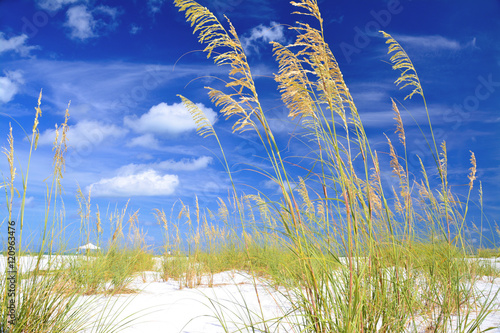 Anna Maria Island - Floride / Florida - USA