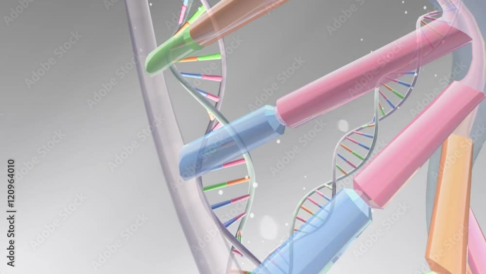 DNA Strand images.