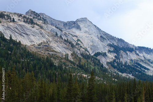 Panorama from Yosemite National Park © elleonzebon