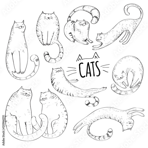 Cats collection