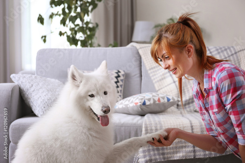 Girl having fun with Samoye...