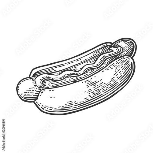 Hotdog. Isolated on white background.