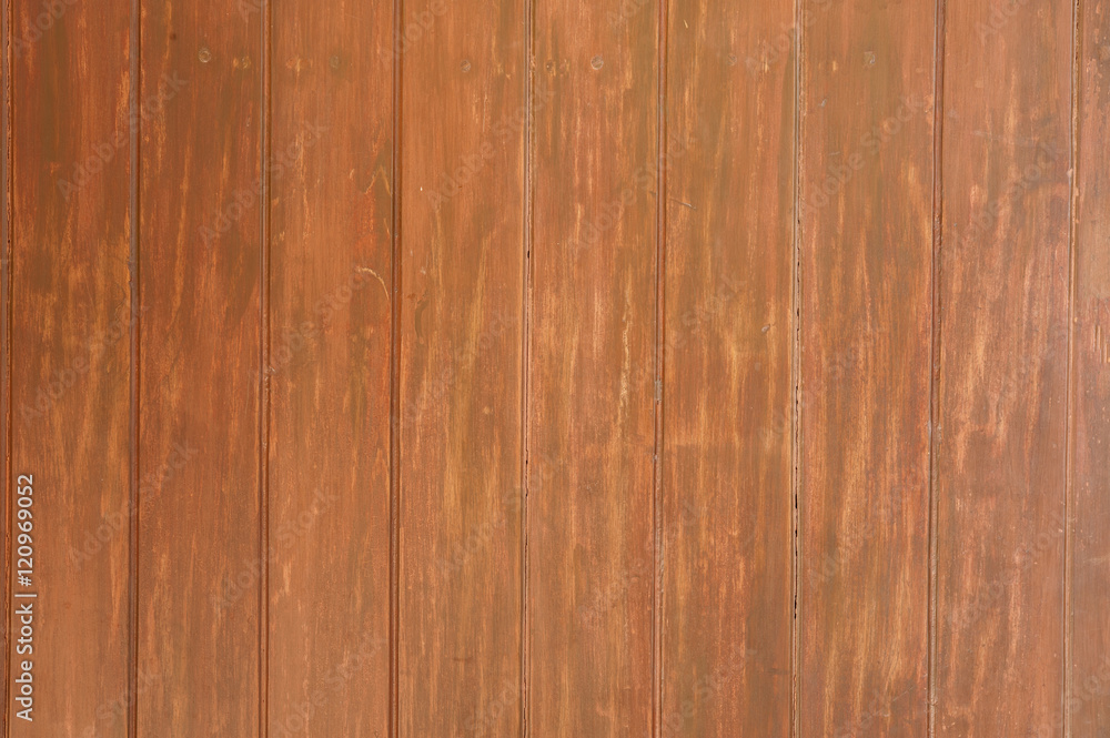 Fototapeta premium Wood Wall