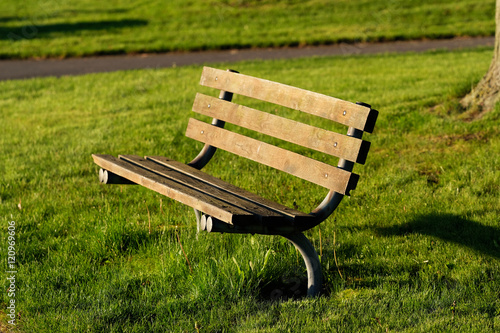 Wooden bench on the meadow