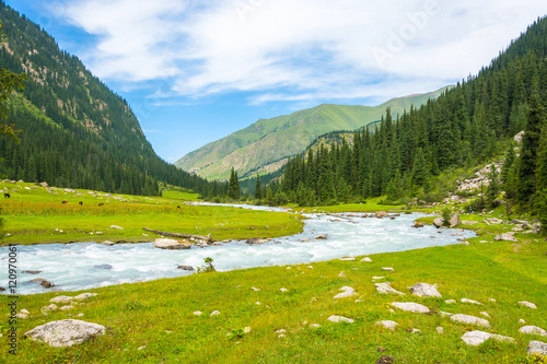 Mountain landscape with a turbulent river, Kyrgyzstan.