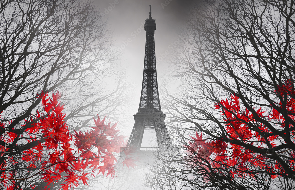 Fototapeta Wieża Eiffla w Paryżu - zdjęcie jesieni