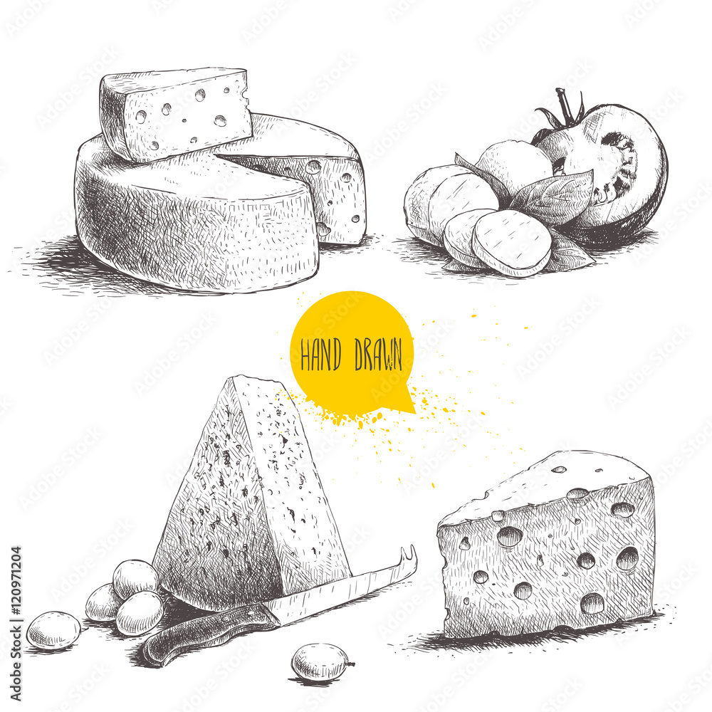 Hand drawn different type of cheese set. Edam, mozzarella cheese with
