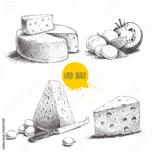 Hand drawn different type of cheese set. Edam, mozzarella cheese with basil leafs and tomato, round cheese head, triangle of cheese. Vector organic food illustration.