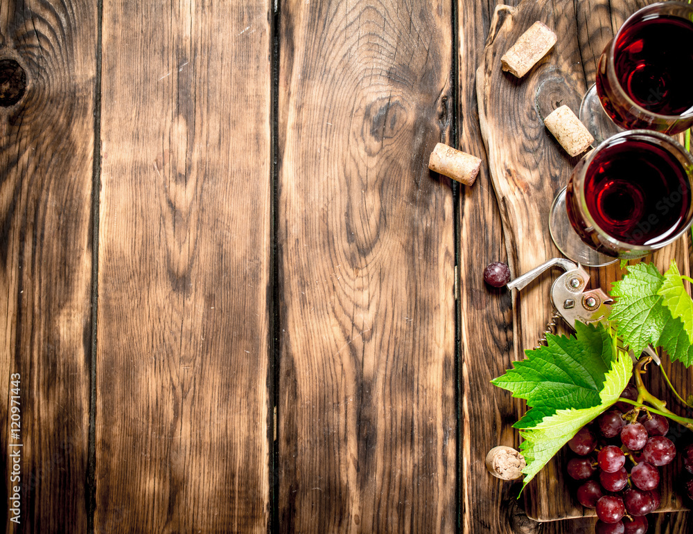 Red wine with a vine branch. Red wine with a vine branch.