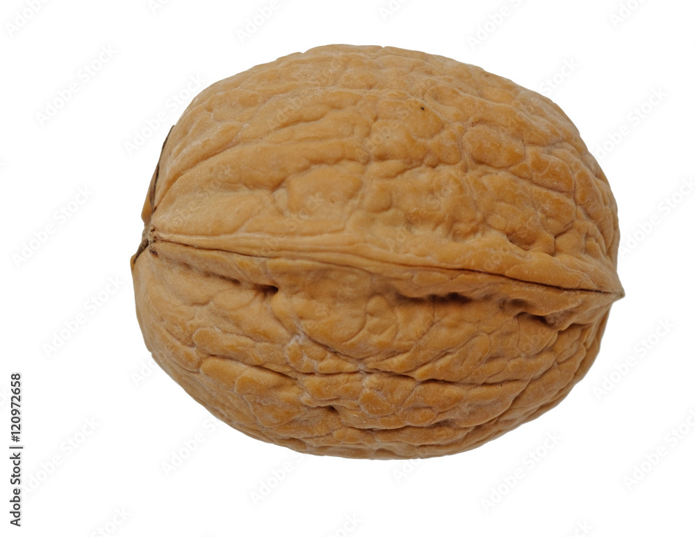 Single walnut isolated on a white background. Single walnut isolated on a white background.