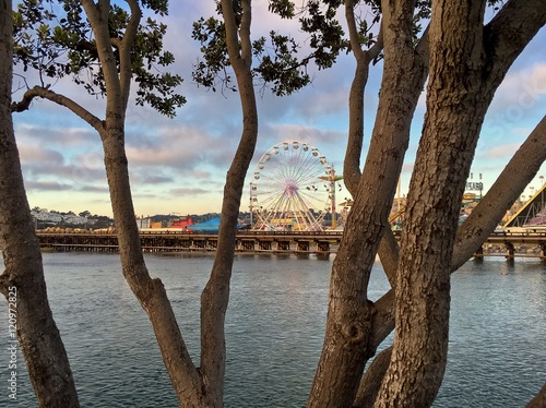 Scenic view of county fairgrounds with amusement rides looking through trees  San Diego  California  USA