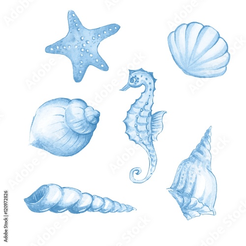 Sea collection 1. Hand drawn watercolor elements for design, isolated on white background © Gribanessa