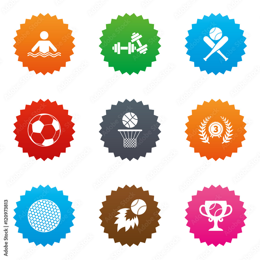Sport games, fitness icon. Football, basketball. Sport games, fitness icon. Football, basketball.