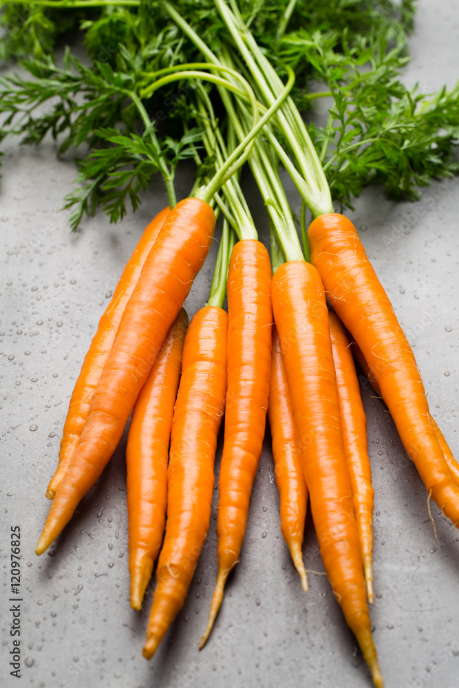 Fresh carrots on the gray backgrounds. Fresh carrots on the gray backgrounds.