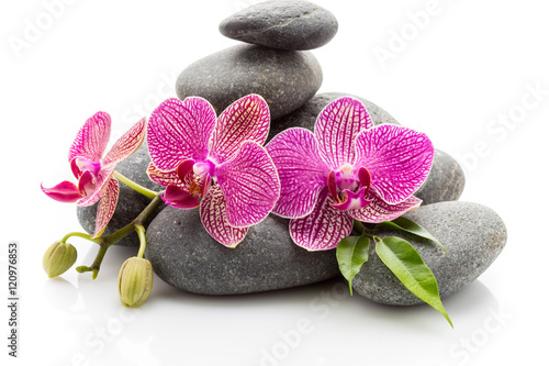Spa stones