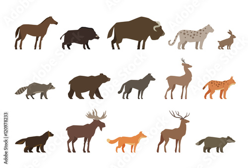 Animals set of colored icons isolated on white background. Vector illustration