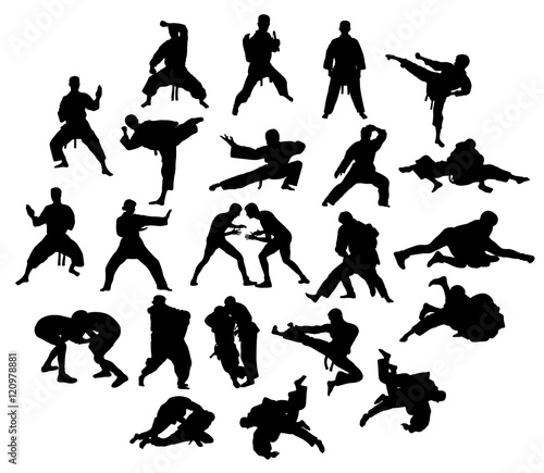 Kung Fu and Judo sport, art vector design