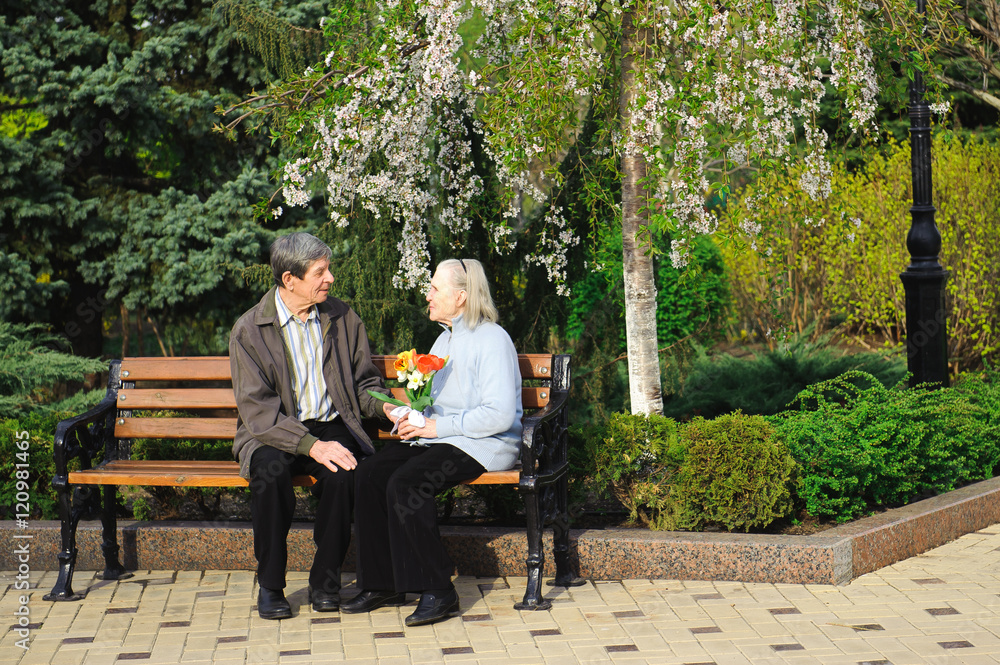 Fototapeta premium beautiful happy old people sitting in the spring park