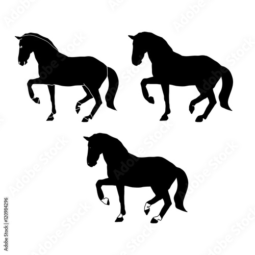 Silhouette stud set