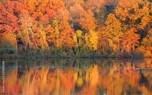 Quadro em tela Perfect autumn tree reflections in the lake