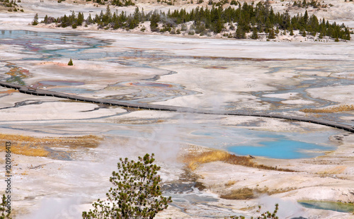 Norris geycer basin in Yellowstone national park