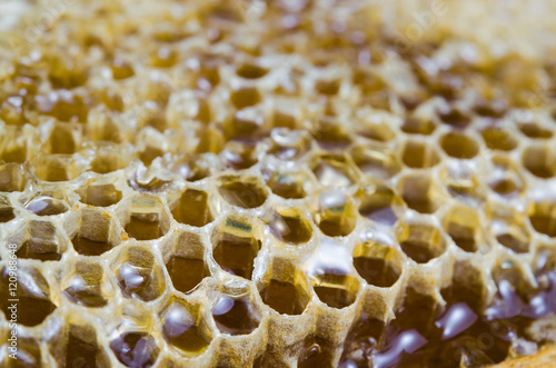 Bee hive texture with honey filled